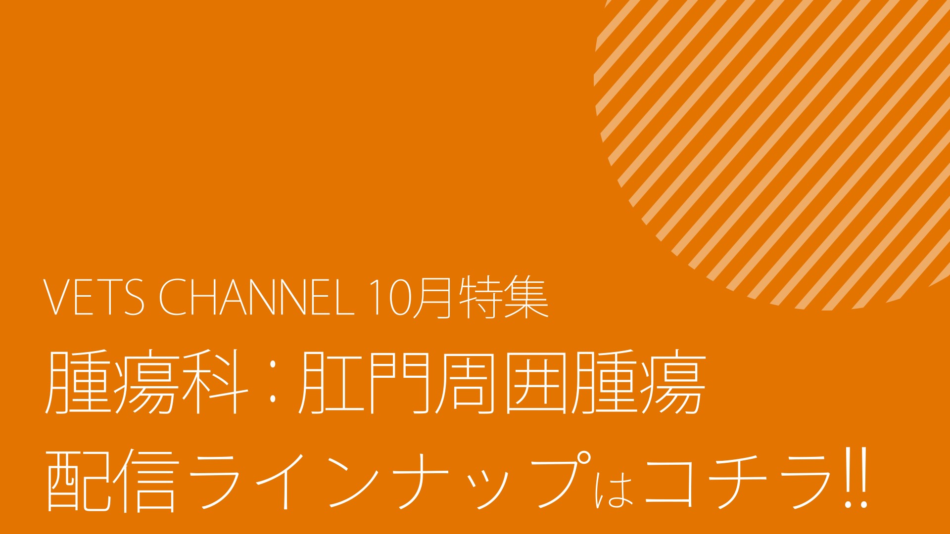 2024年10月公開予定コンテンツ_ダイジェスト