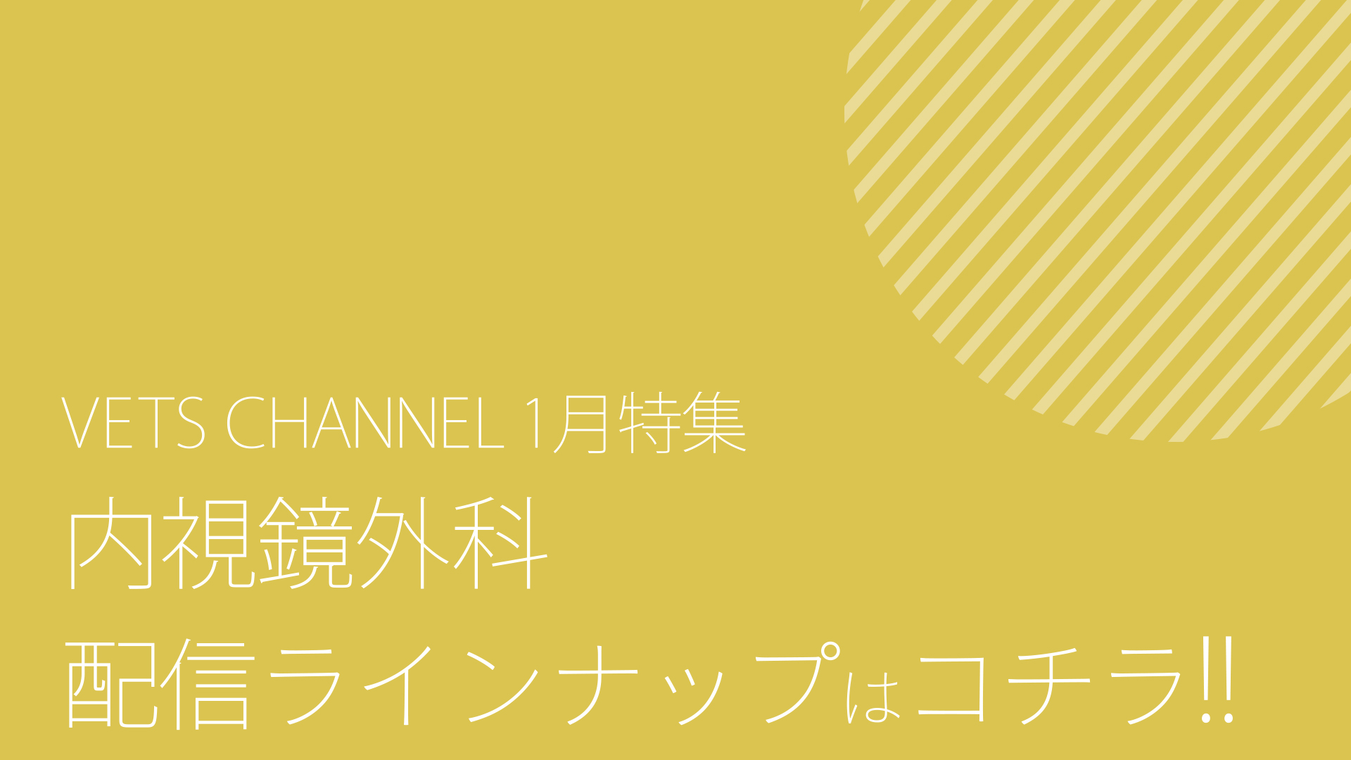 2025年1月公開予定コンテンツ_ダイジェスト