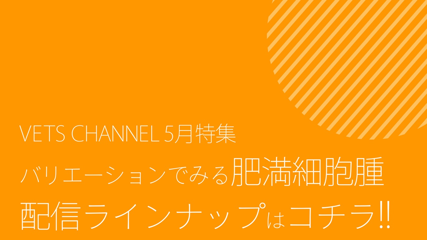 2025年5月公開予定コンテンツ_ダイジェスト