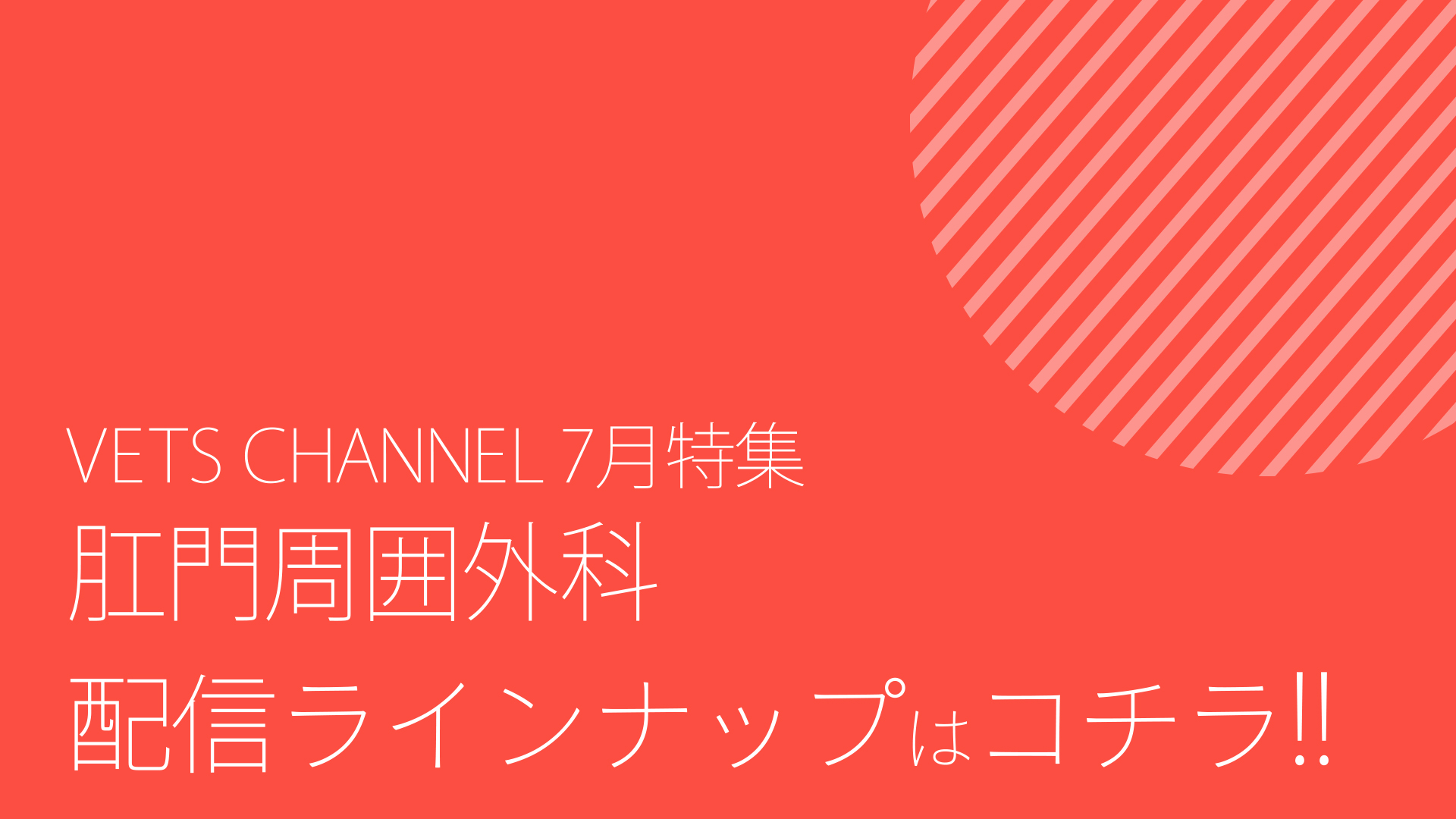 2025年7月公開予定コンテンツ_ダイジェスト