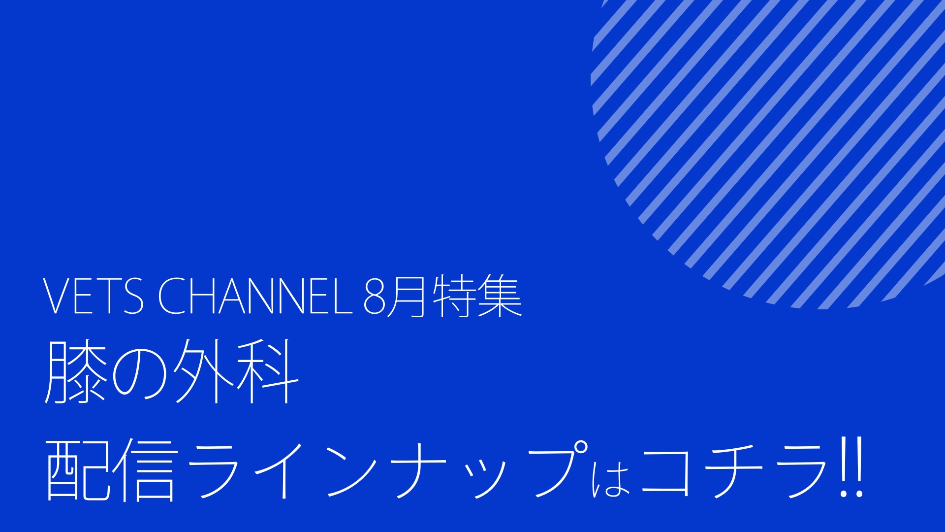2025年8月公開予定コンテンツ_ダイジェスト