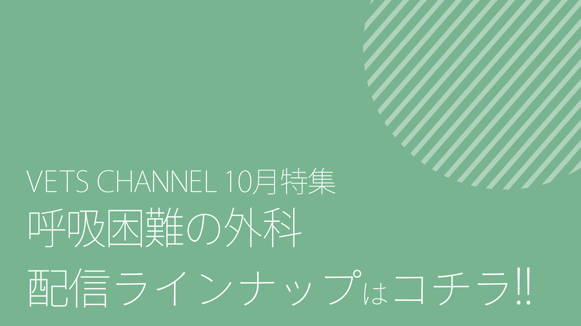 2025年10月公開予定コンテンツ_ダイジェスト