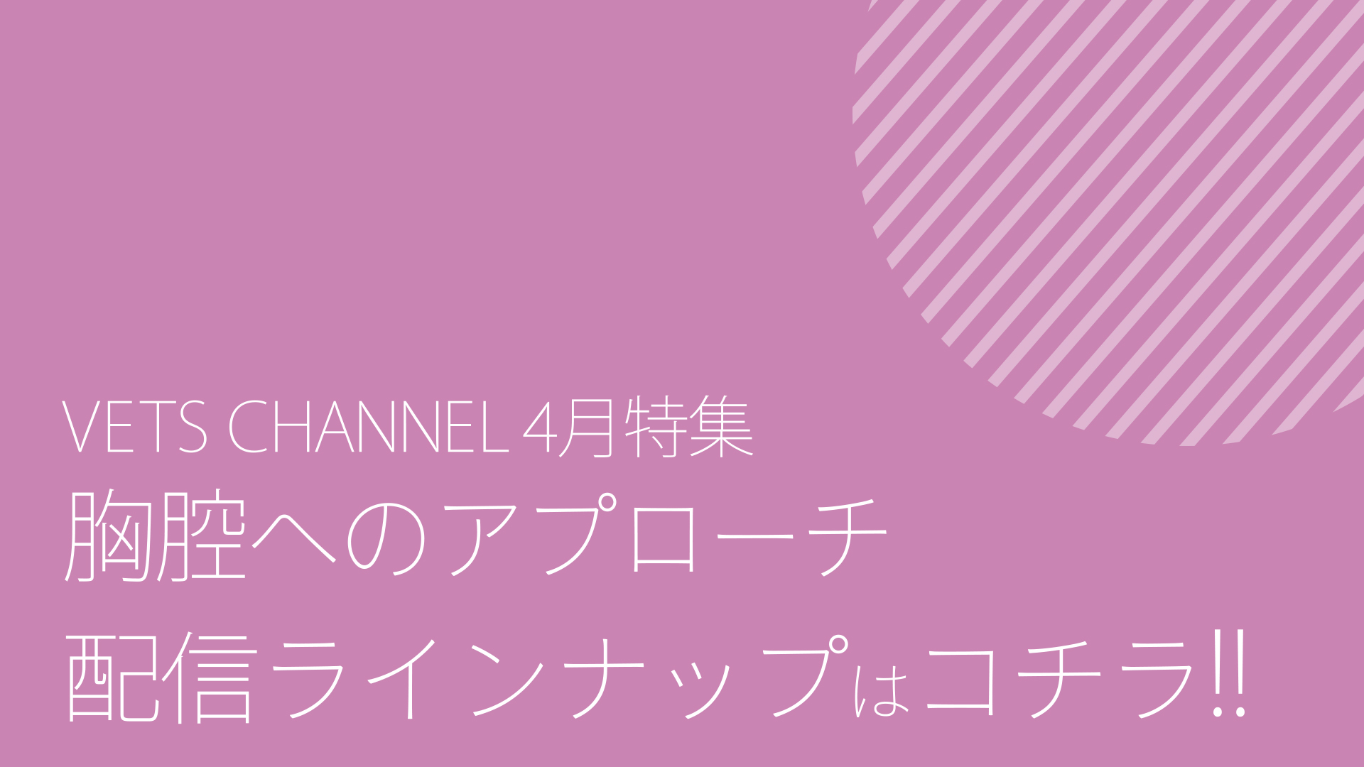 2026年4月公開予定コンテンツ_ダイジェスト