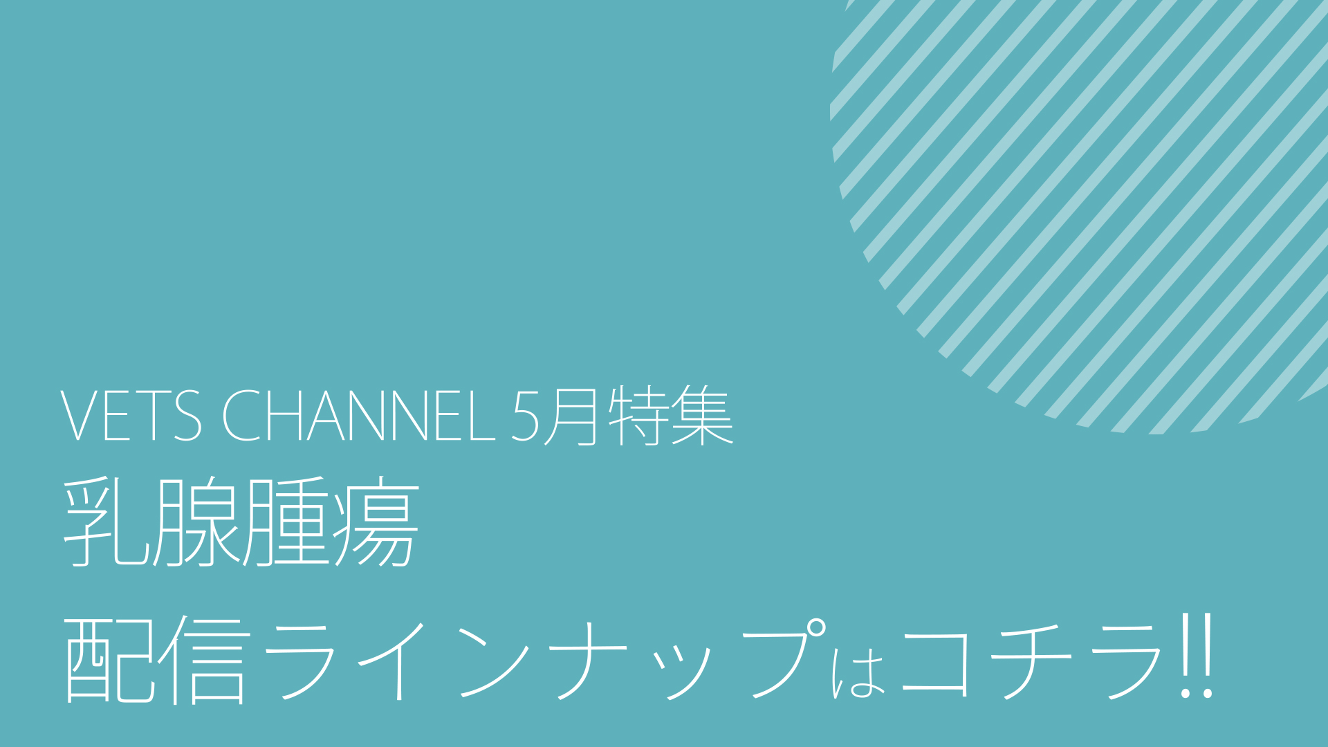 2026年5月公開予定コンテンツ_ダイジェスト