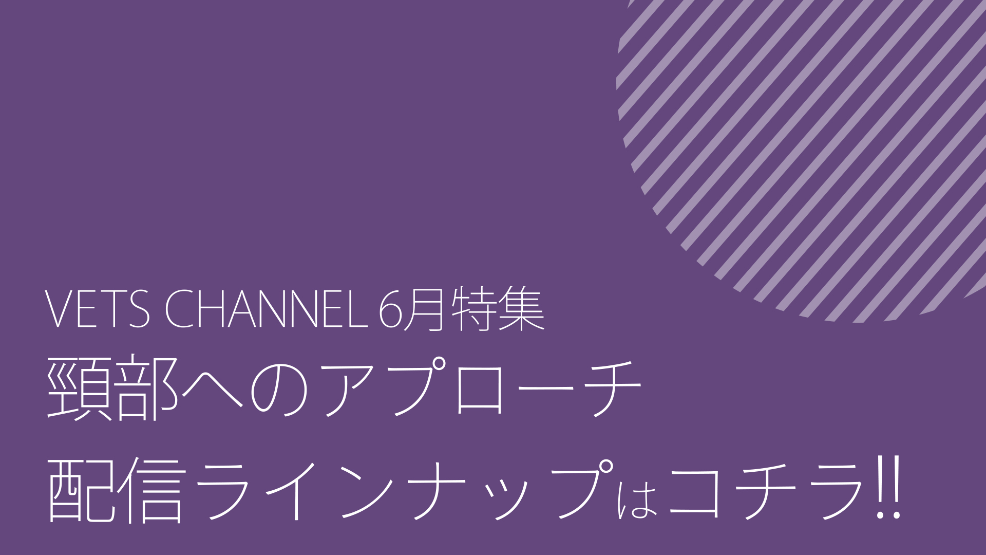 2026年6月公開予定コンテンツ_ダイジェスト