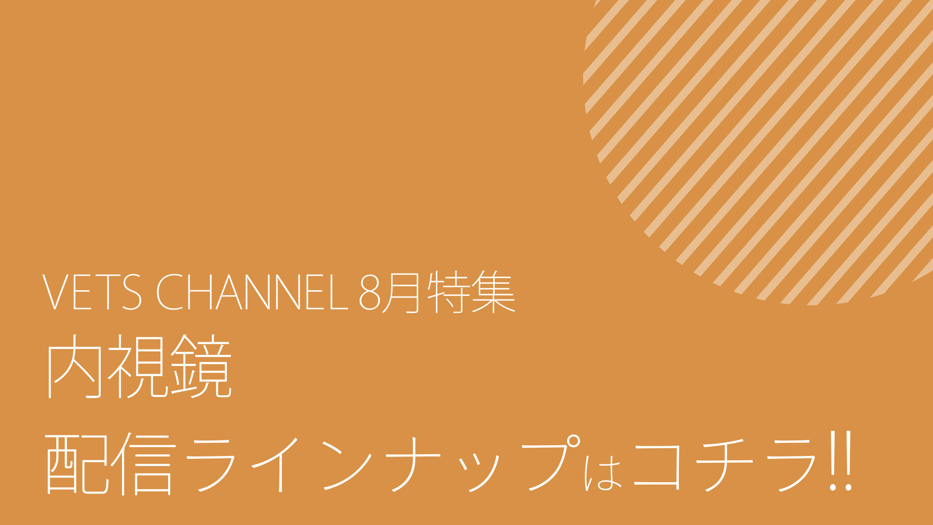 2026年8月公開予定コンテンツ_ダイジェスト