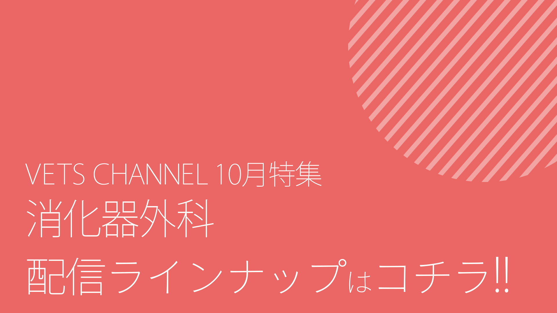 2026年10月公開予定コンテンツ_ダイジェスト