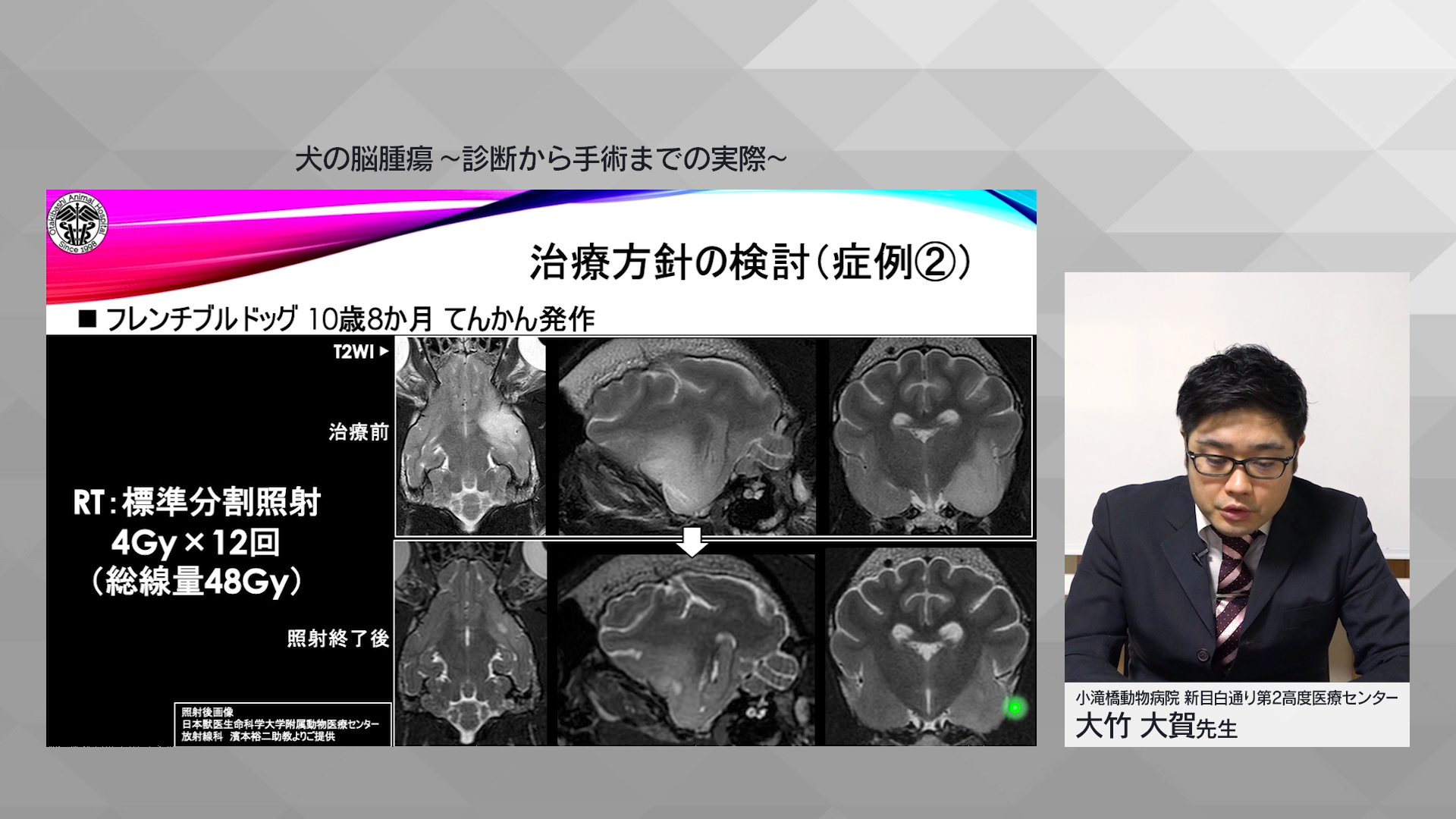 Mid Tokyo Conference Vol 11 犬の脳腫瘍 診断 Etv Store