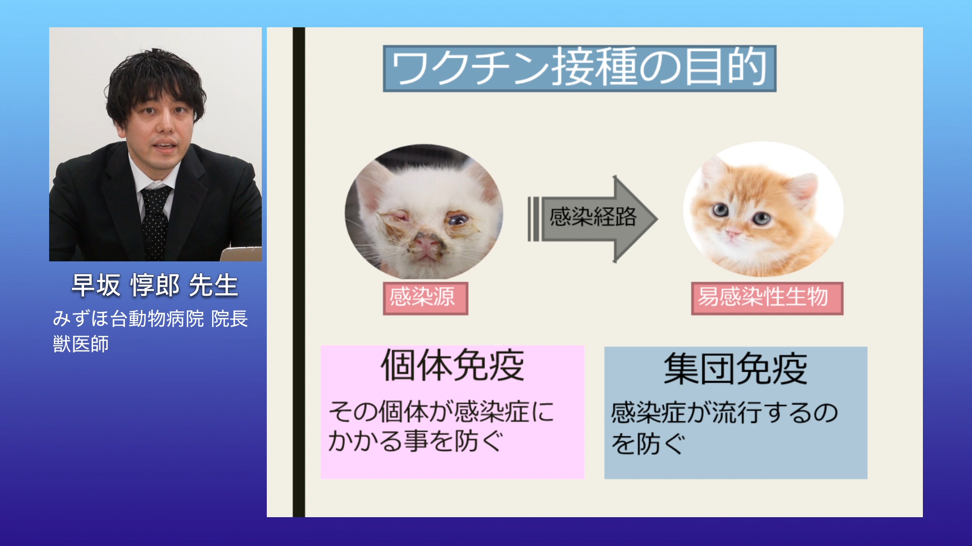 新人獣医師のための犬と猫の感染予防プログラム ～｜VETS Guide