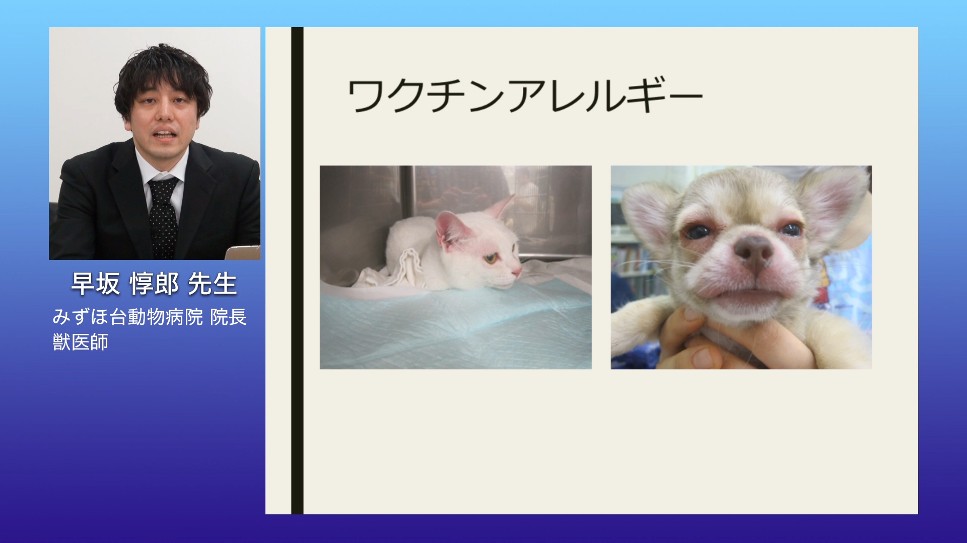 新人獣医師のための犬と猫の感染予防プログラム Vets Guide