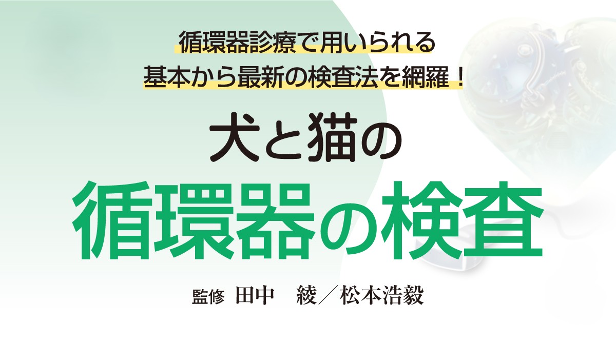 循環器の検査