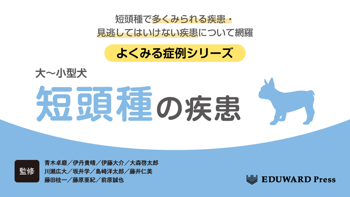 短頭種の疾患