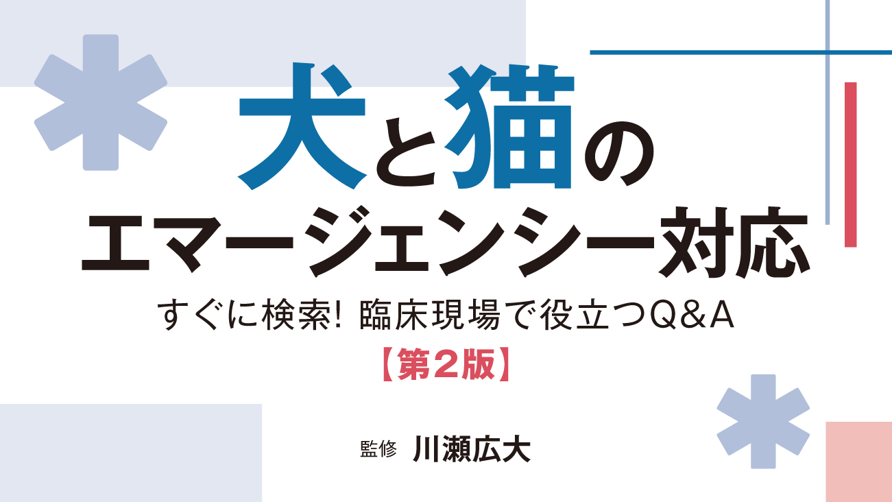 犬と猫のエマージェンシー