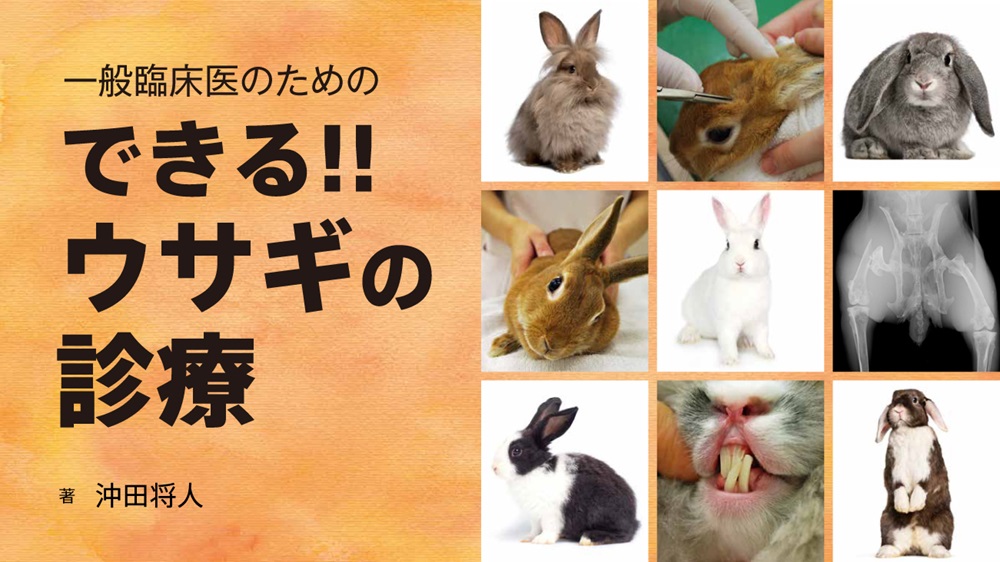 一般臨床医のための できる!!ウサギの診療
