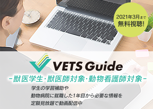 VETS Guide