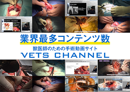 業界最多コンテンツ数 獣医師のための手術動画サイト VETS CHANNEL
